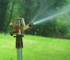 Water sprinkler for the vegetable garden